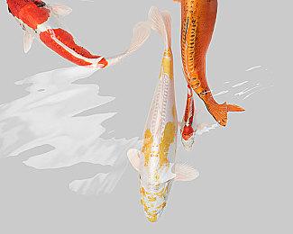 《飙酷车神：轰鸣盛典》更新预告 2024年11月推出